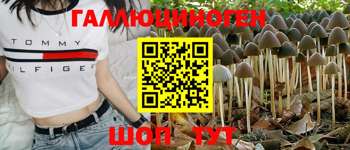 хочу наркоту  Вход с VPN  Омск  Псилоцибиновые грибы Psilocybe 